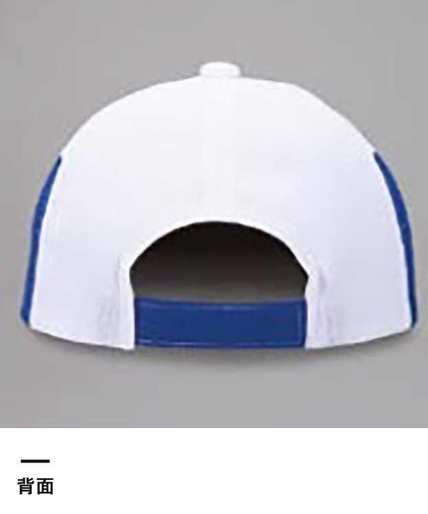 ブーステックスアイスCAP（BTX-ICE04-06）背面