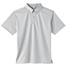 シルバーグレー