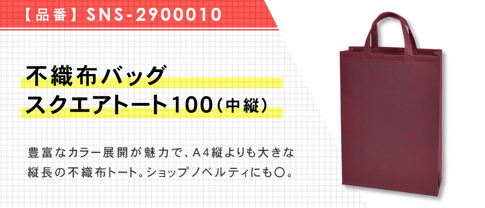 不織布バッグスクエアトート100(中縦)（SNS-2900010）9カラー・1サイズ