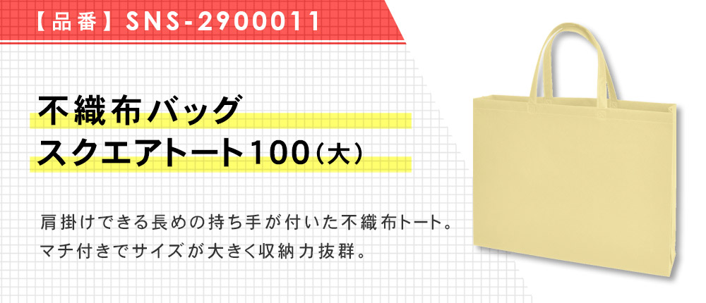 不織布バッグスクエアトート100(大)（SNS-2900011）9カラー・1サイズ