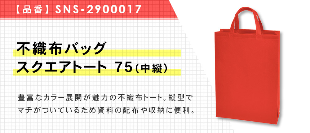 不織布バッグスクエアトート 75(中縦)(SNS-2900017)13カラー・1サイズ