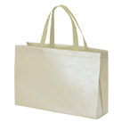 ラミバッグ（角底　中横）（SNS-2900028）正面