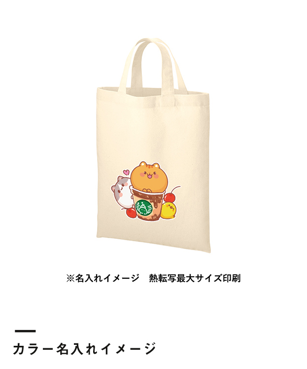厚手コットンA4フラットトート（TR-1011）カラー名入れイメージ