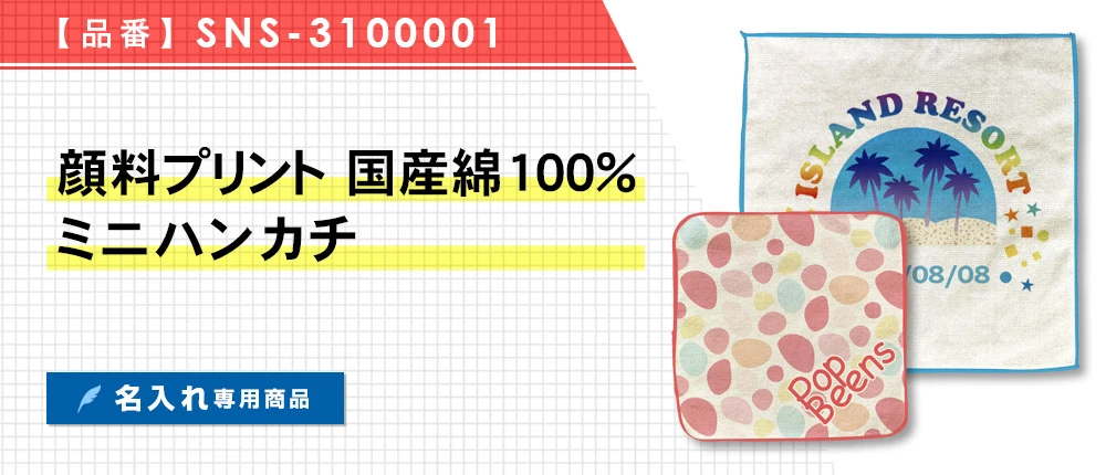 顔料プリント　国産綿100%ミニハンカチ ※名入れ専用商品（SNS-3100001）1カラー・2サイズ