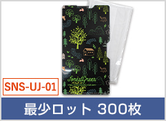 スタンダード抗菌マスクケース(品番：SNS-UJ-01)